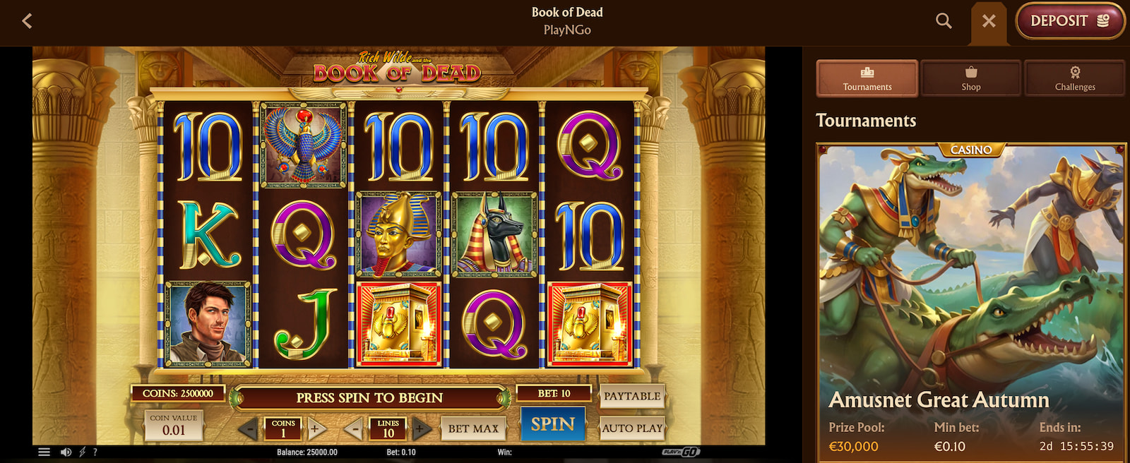 Book of Dead Slot